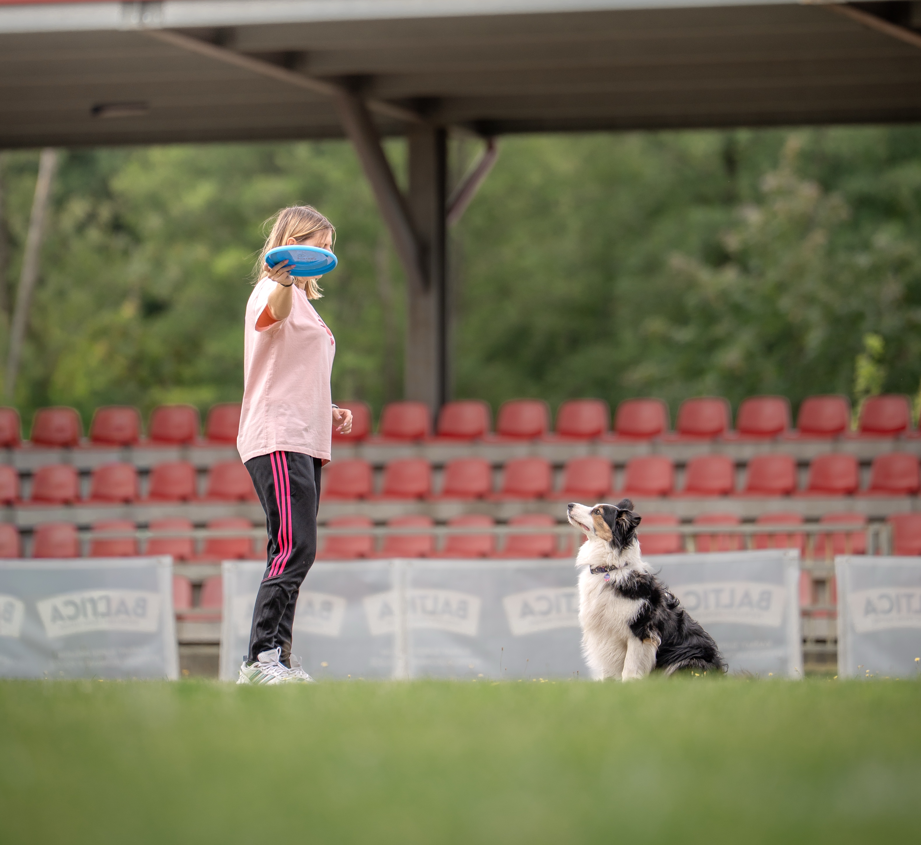 Kobieta z psem podczas dogfrisbee